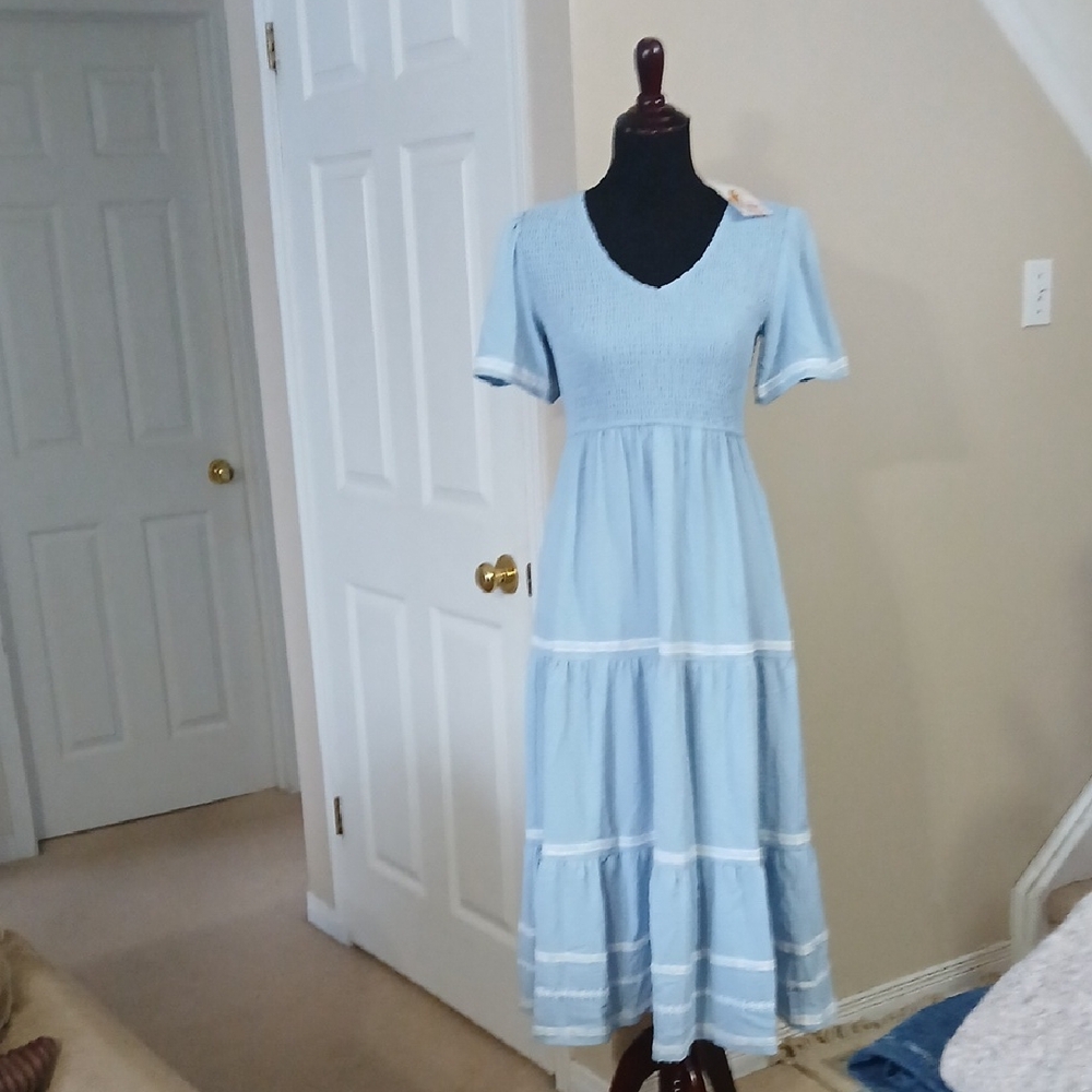 Pretty Garden Chic Light Blue Midi Dress